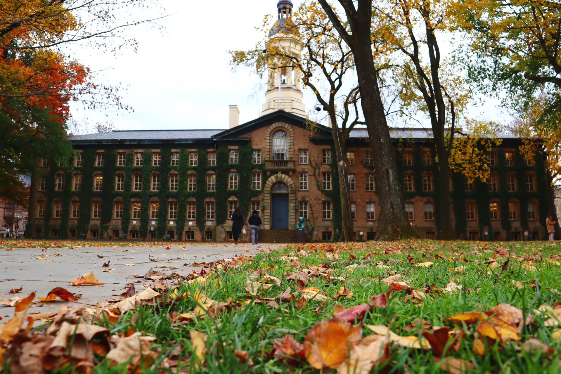 princeton